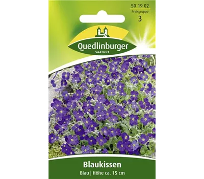 Griechisches Blaukissen-Samen