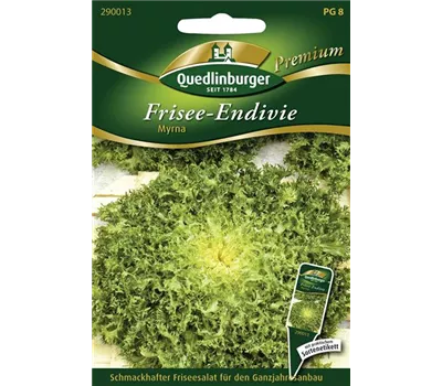 Frisee-Endivie-Samen 'Myrna'