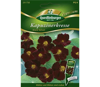 Kapuzinerkressesamen 'Black Velvet'