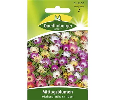 Mittagsblumensamen