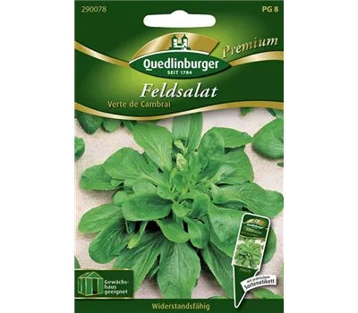 Feldsalatsamen 'Verte de Cambrai' Feldsalatsamen 'Verte de Cambrai'