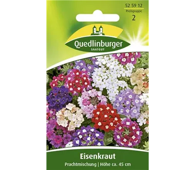 Eisenkrautsamen 'Prachtmischung'