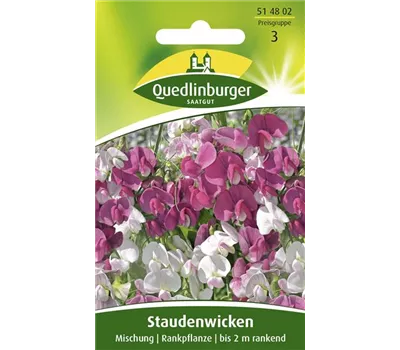 Breitblättrige Platterbse-Samen