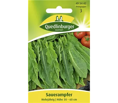 Großer Sauerampfer-Samen Großer Sauerampfer-Samen