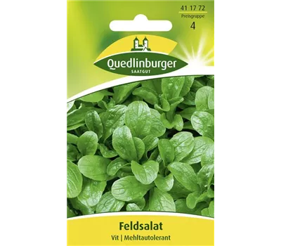 Feldsalatsamen 'Vit' Feldsalatsamen 'Vit'