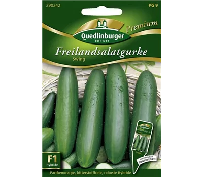 Gurkensamen 'Swing' Gurkensamen 'Swing'