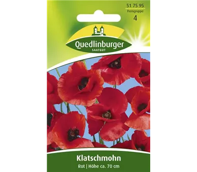 Klatsch-Mohn-Samen