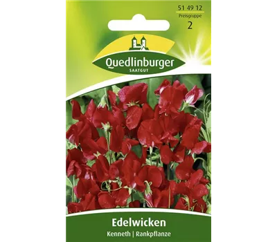 Gartenwickensamen 'Kenneth'