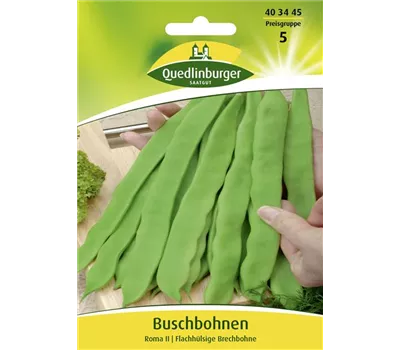 Buschbohnensamen 'Roma II' Buschbohnensamen 'Roma II'