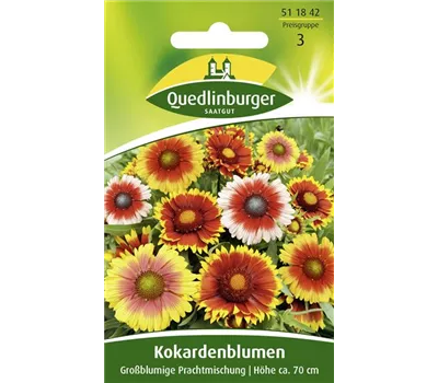 Prärie-Kokardenblume-Samen
