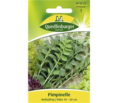 Kleiner Wiesenknopf-Samen