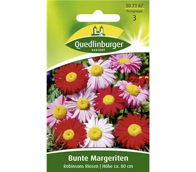 Bunte Magerite-Samen 'Robinsons Riesen'