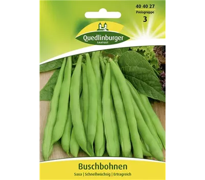 Buschbohnensamen 'Saxa' Buschbohnensamen 'Saxa'