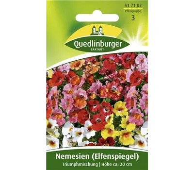 Elfenspiegelsamen 'Triumphmischung'