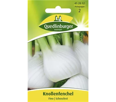 Knollenfenchelsamen 'Fino'