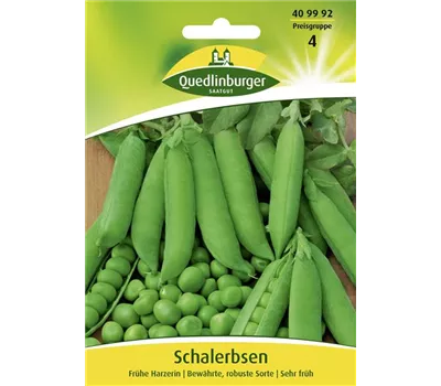 Schalerbsensamen 'Frühe Harzerin' Schalerbsensamen 'Frühe Harzerin'