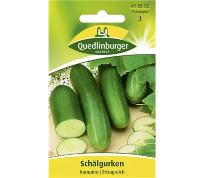 Gurkensamen 'Kampino' Gurkensamen 'Kampino'