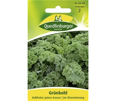 Grünkohlsamen 'Halbhoher Grüner Krauser' Grünkohlsamen 'Halbhoher Grüner Krauser'