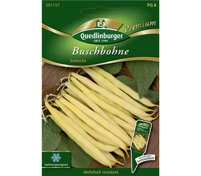 Buschbohnensamen 'Sonesta' Buschbohnensamen 'Sonesta'