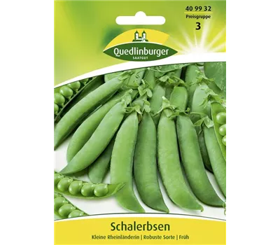 Schalerbsensamen 'Kleine Rheinländerin' Schalerbsensamen 'Kleine Rheinländerin'