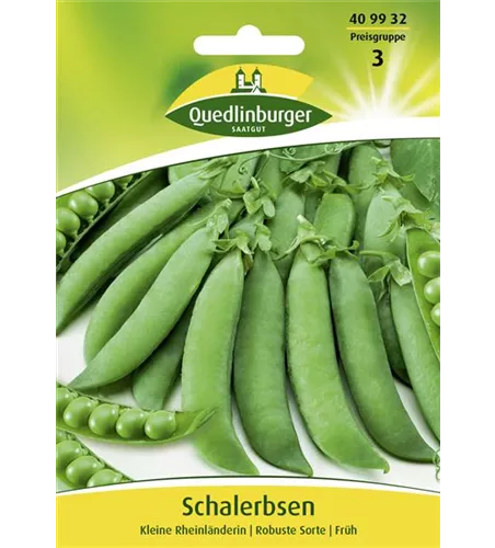 Schalerbsensamen 'Kleine Rheinländerin'