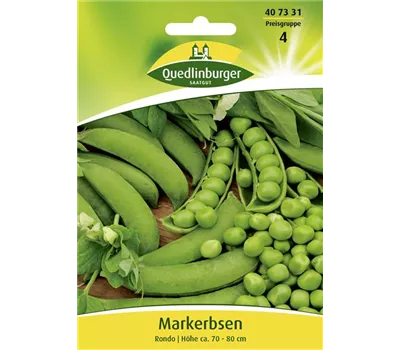 Markerbsensamen 'Rondo' Markerbsensamen 'Rondo'