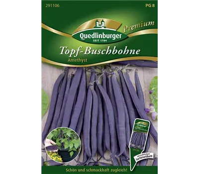 Buschbohnensamen 'Amethyst' Buschbohnensamen 'Amethyst'