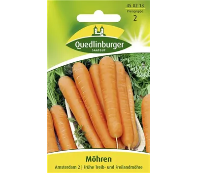 Möhrensamen 'Amsterdam 2'