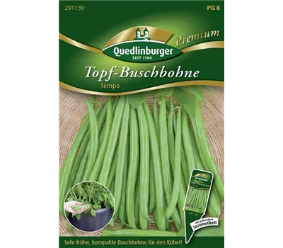 Buschbohnensamen 'Tempo' Buschbohnensamen 'Tempo'