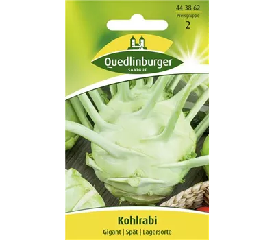 Kohlrabisamen 'Gigant' Kohlrabisamen 'Gigant'