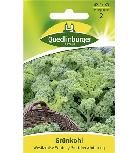 Grünkohlsamen 'Westerländer Winter'