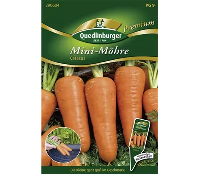 Möhrensamen 'Caracas'