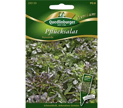 Eichblattsalatsamen 'Hussarde' Eichblattsalatsamen 'Hussarde'