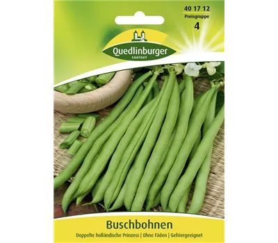 Buschbohnensamen 'Doppelte holländische Prinzess' Buschbohnensamen 'Doppelte holländische Prinzess'