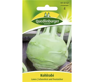 Kohlrabisamen 'Lanro' Kohlrabisamen 'Lanro'