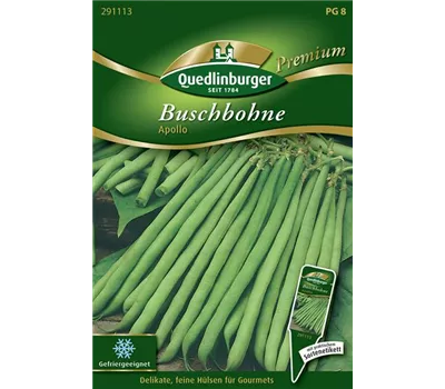 Buschbohnensamen 'Apollo' Buschbohnensamen 'Apollo'