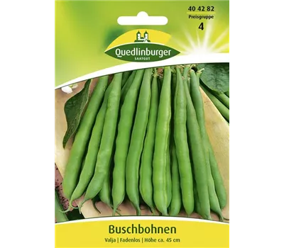 Buschbohnensamen 'Valja' Buschbohnensamen 'Valja'