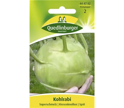 Kohlrabisamen 'Superschmelz' Kohlrabisamen 'Superschmelz'
