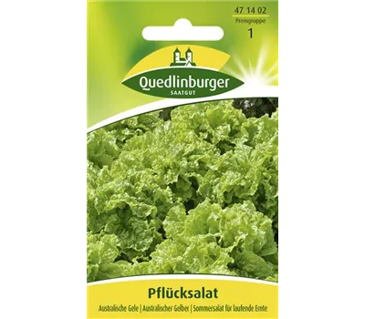 Pflücksalatsamen 'Australische Gele'