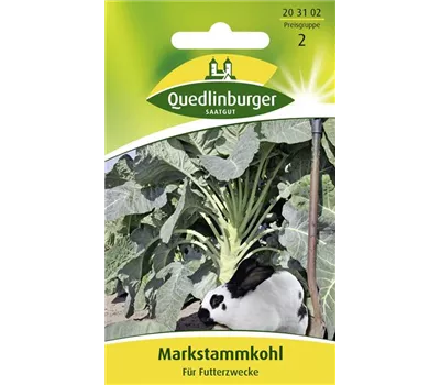 Markstammkohlsamen Markstammkohlsamen