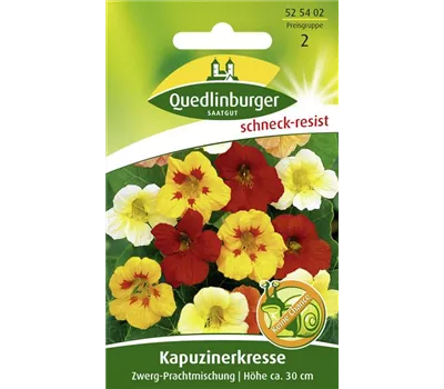 Kapuzinerkressesamen 'Zwerg-Prachtmischung'