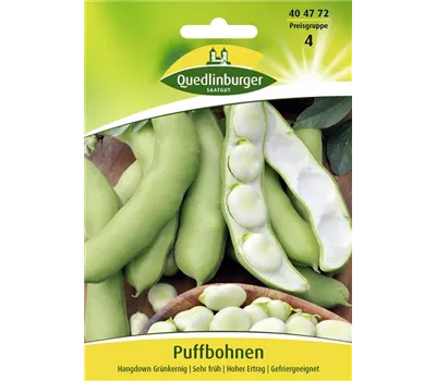 Puffbohnensamen 'Hangdown Grünkernig'