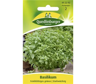 Garten-Basilikum-Samen 'Feinblättriges Grünes'