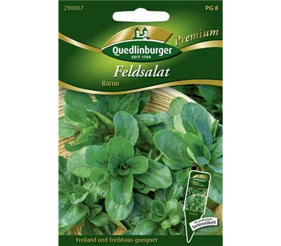 Feldsalatsamen 'Baron' Feldsalatsamen 'Baron'
