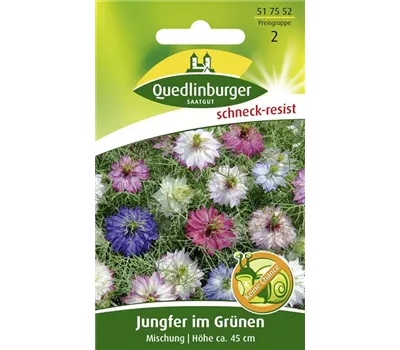 Jungfer im Grünen-Samen