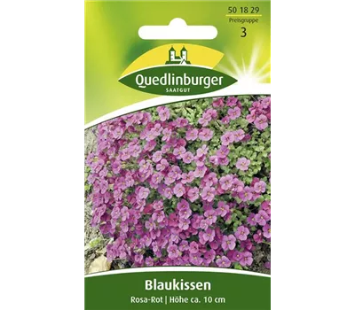 Griechisches Blaukissen-Samen