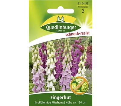 Fingerhutsamen 'Großblumige Mischung'