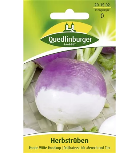 Herbstrübensamen 'Ronde Witte Roodkop'