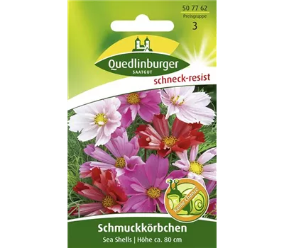 Schmuckkörbchensamen 'Sea Shells'