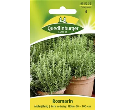 Rosmarinsamen